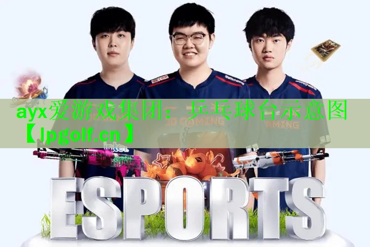 乒乓球台示意图