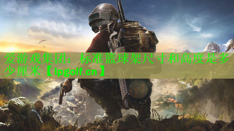 标准篮球架尺寸和高度是多少厘米