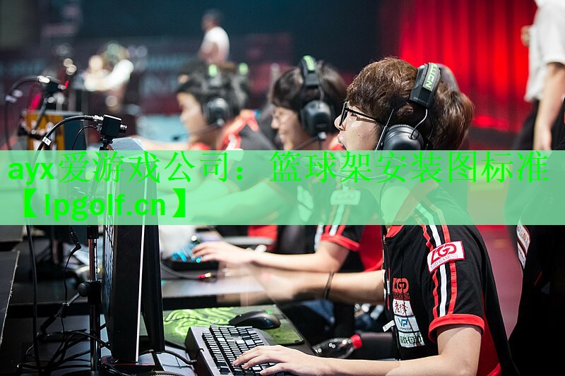 篮球架安装图标准