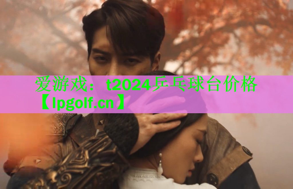 t2024乒乓球台价格