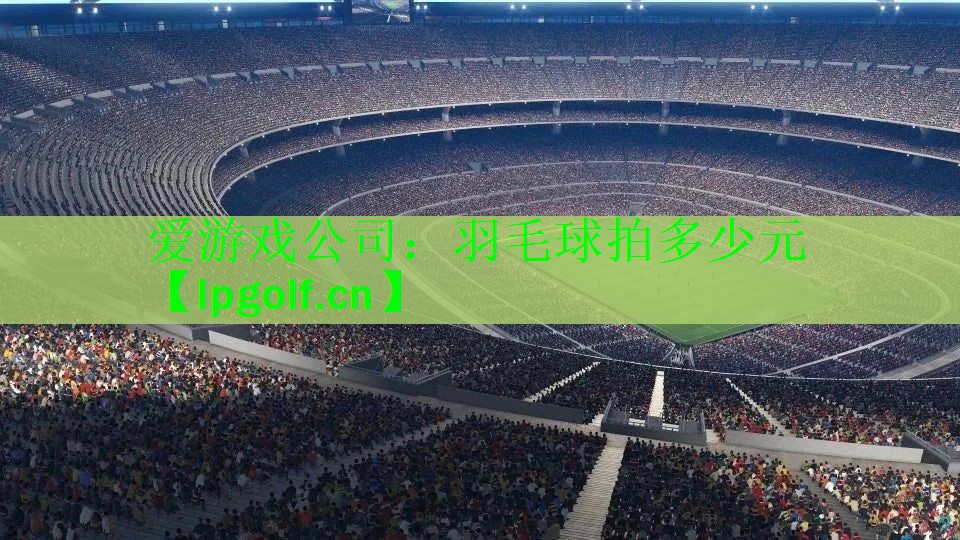 羽毛球拍多少元