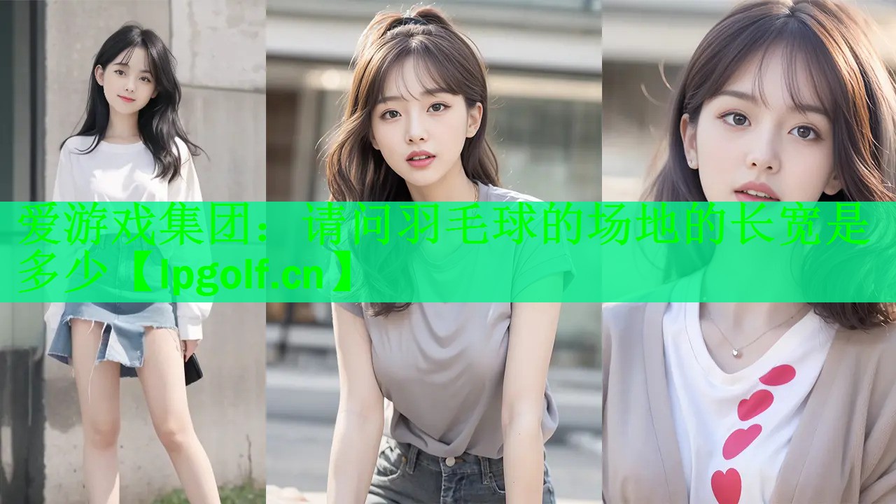 请问羽毛球的场地的长宽是多少