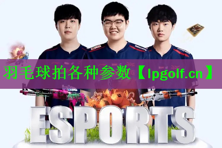 羽毛球拍各种参数