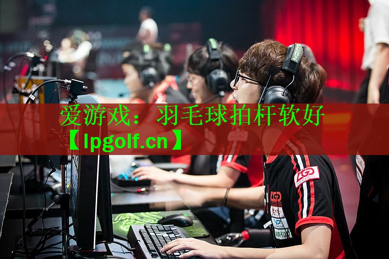 羽毛球拍杆软好
