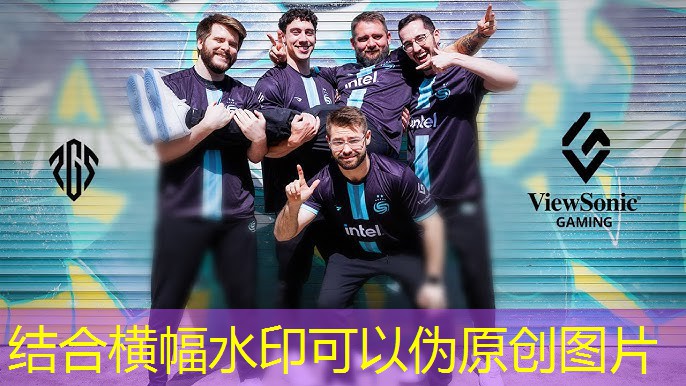 强身健体的首选：家庭篮球架室内挂墙让你拥有完美体态！