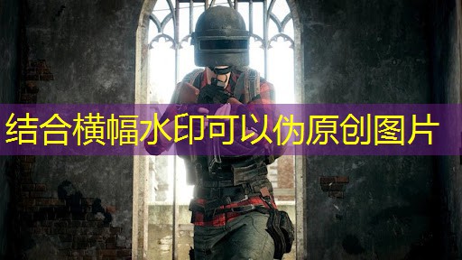 cad体育器材图块