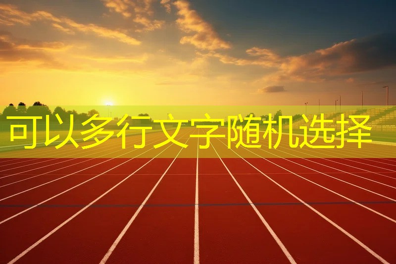 dhs羽毛球拍