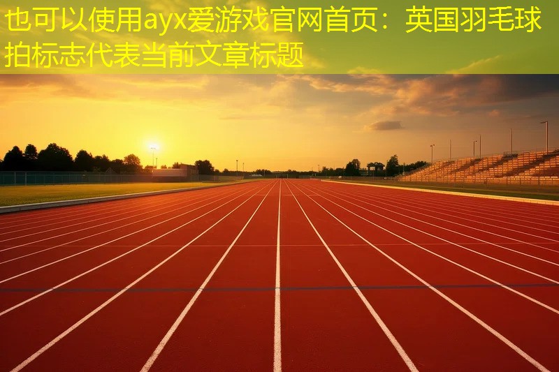 英国羽毛球拍标志