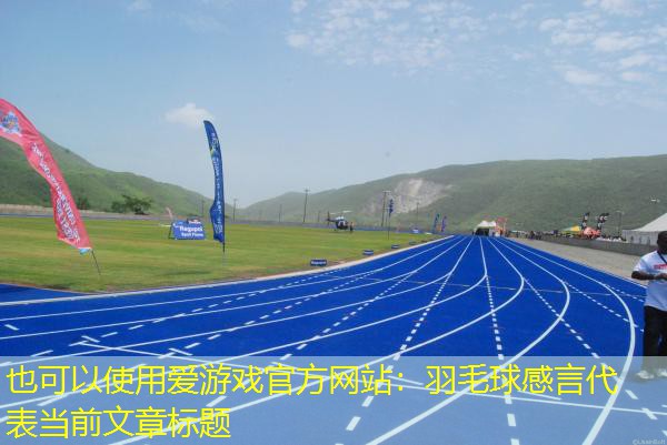 羽毛球感言