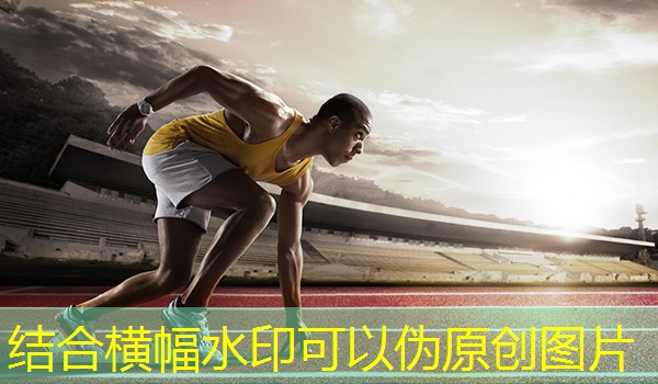 小学羽毛球计划以及教案