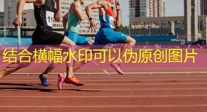 大班体育器材大全