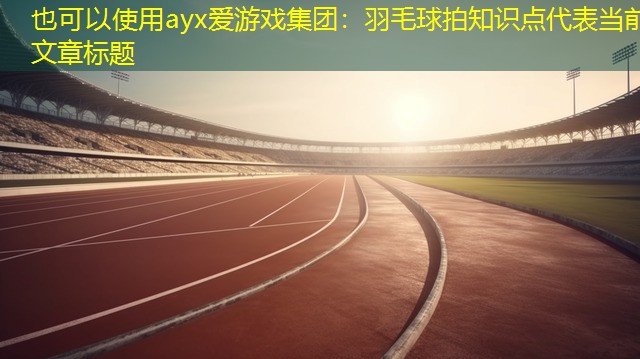 羽毛球拍知识点