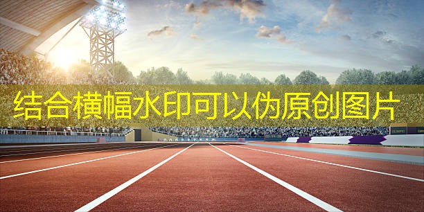 性价比高的羽毛球