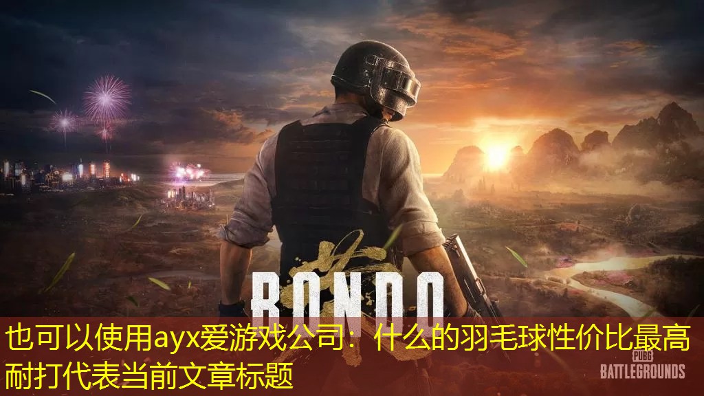 什么的羽毛球性价比最高耐打